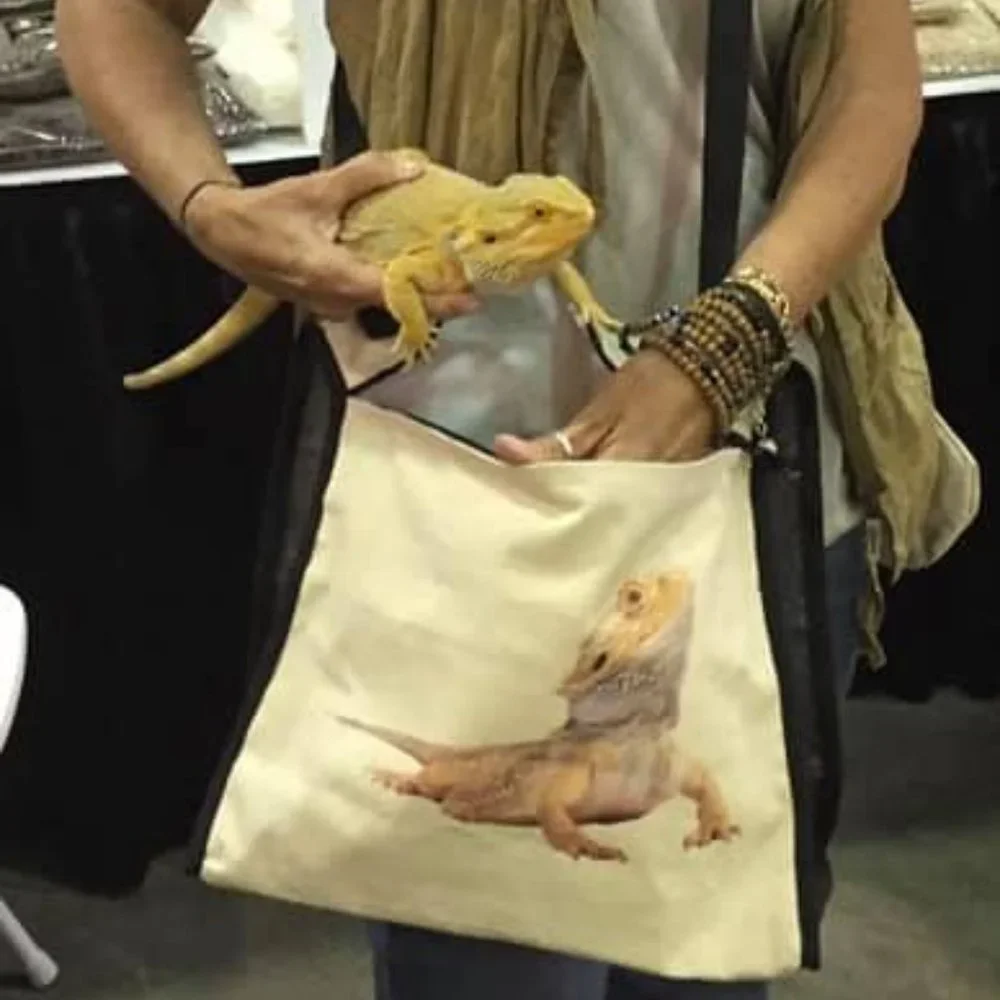 Pet Carrier for your Bearded Dragon